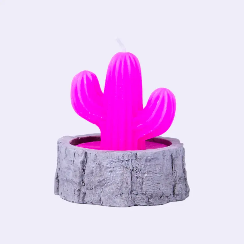 Lazy Dayz Cactus Candle in Concrete Pot – Pink
