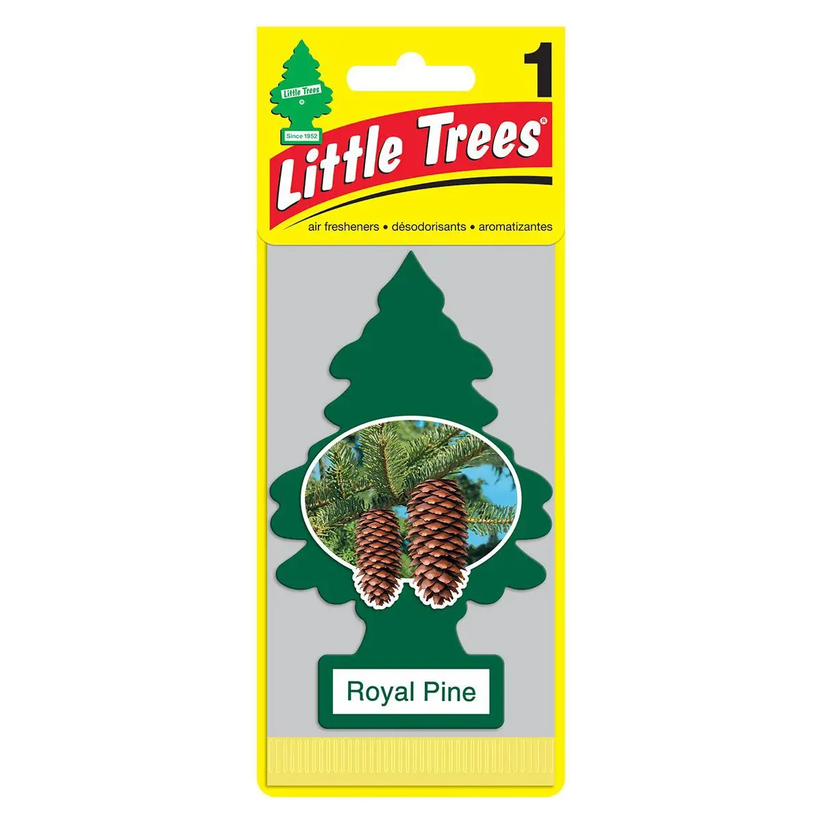 Little Trees – Royal Pine
