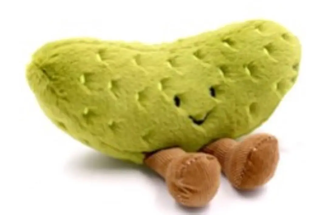 Meow Plush Series Novelty Pickled Cucumber